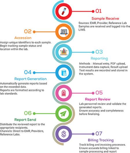 Our Process